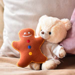 TBクッション ジンジャー