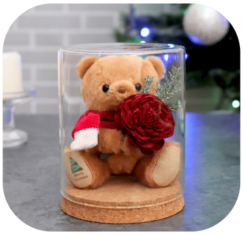 ガラスドームteteショコラ