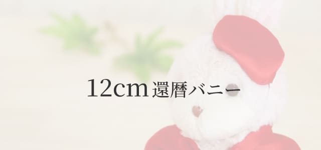 12cm還暦バニー