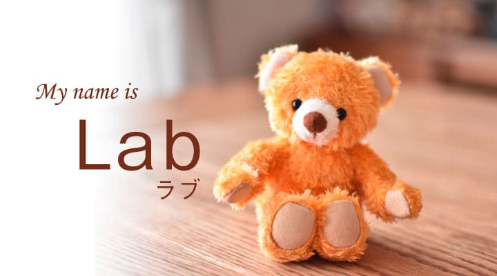 lab