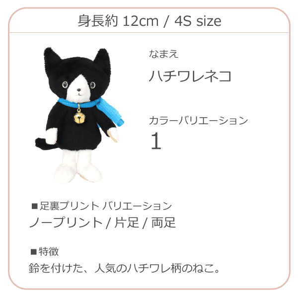 ハチワレネコ