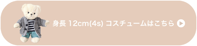4Sサイズコスチューム