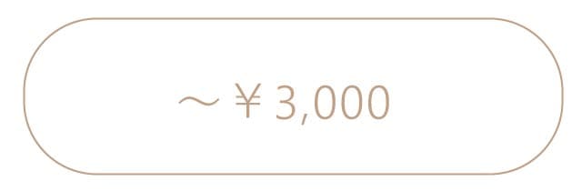 3,000円までのプレゼント