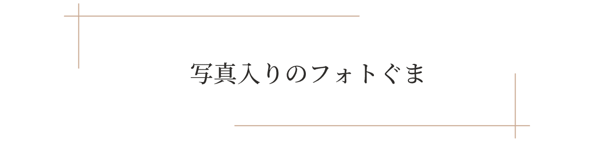 写真入り　フォトぐま