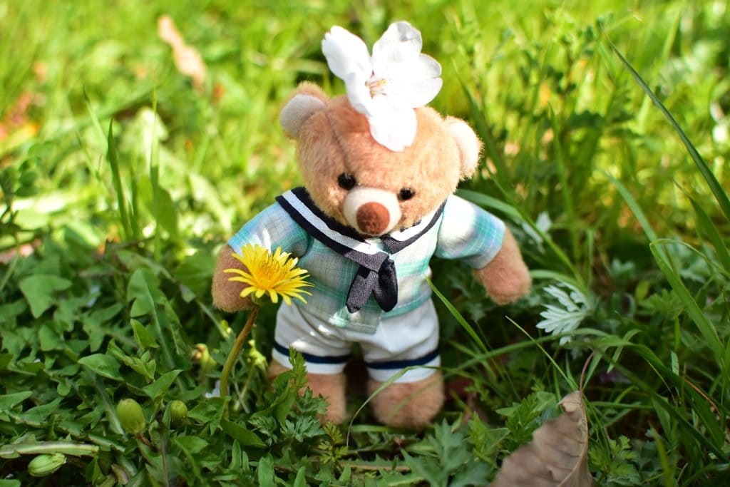 ぬいフォト スタンディングベア