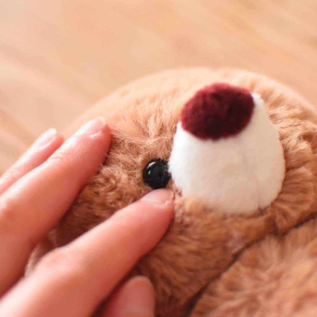 届いたテディベアをかわいいお顔に整える方法