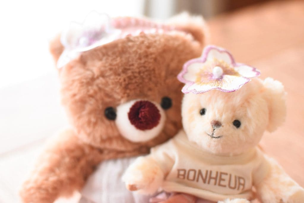 テディベア 可愛い ぬい撮り