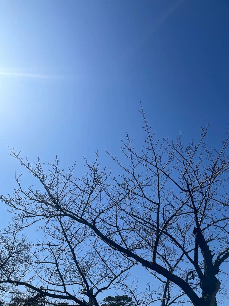 卒業記念品 お揃い