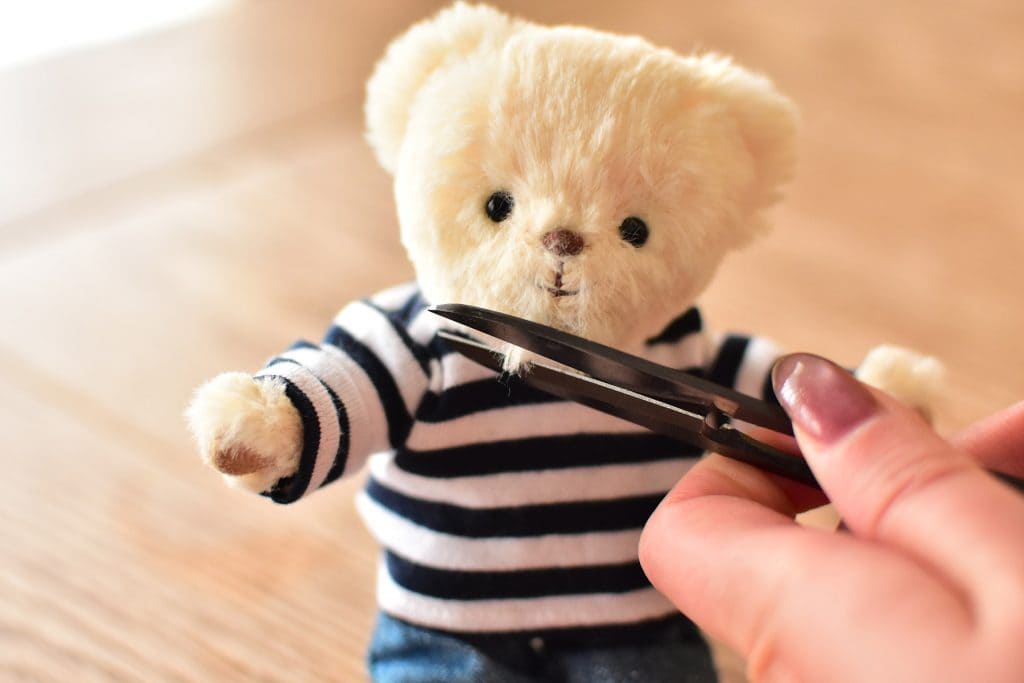 ぬいぐるみびお手入れ