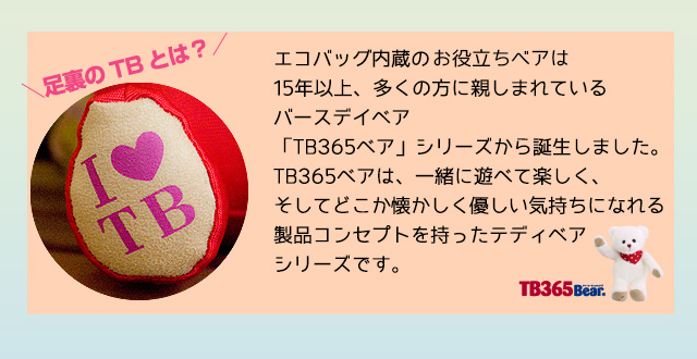 母の日ギフト　カーネーションべア