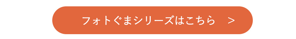 フォトぐまシリーズリンク