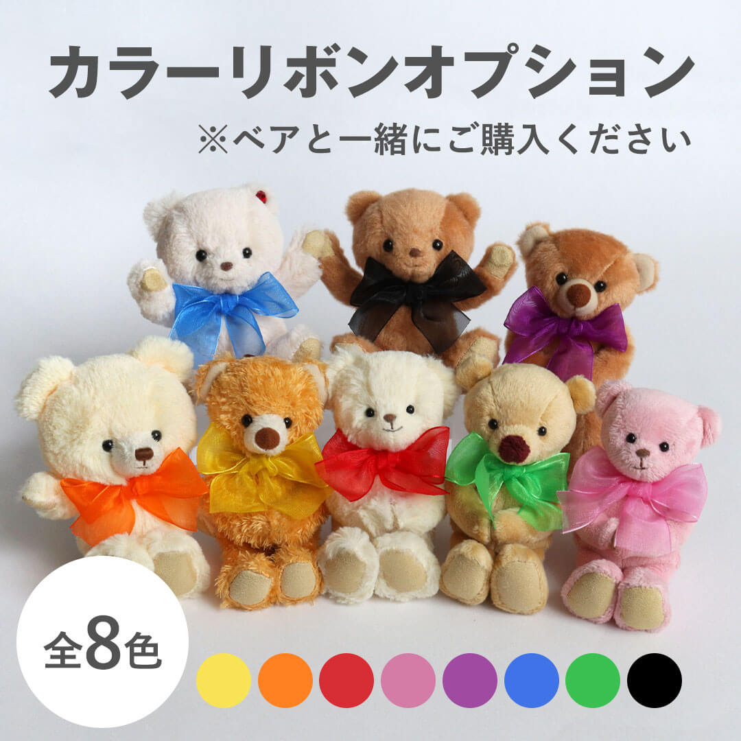 カラーリボンオプション/4Sサイズ専用