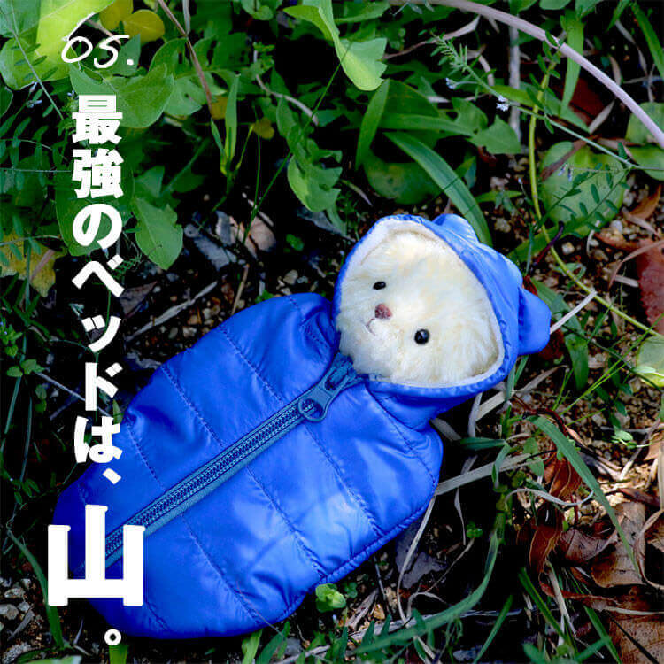 最強のベッドは山　おしゃれこぐま　キャンパー