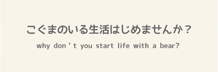 こぐまのいる生活はじめませんか？　おしゃれこぐま　キャンパー
