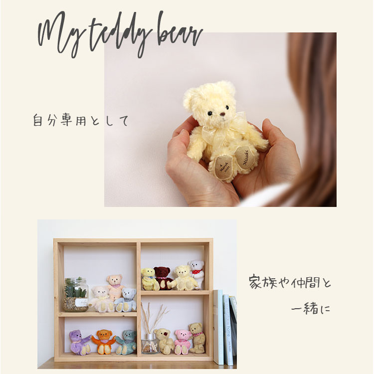 マイテディベア　おしゃれこぐま　キャンパー