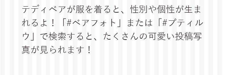 ベアフォト　テキスト　おしゃれこぐま　キャンパー
